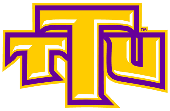 Tennessee Tech Golden Eagles 2006-Pres Alternate Logo v2 diy DTF decal sticker